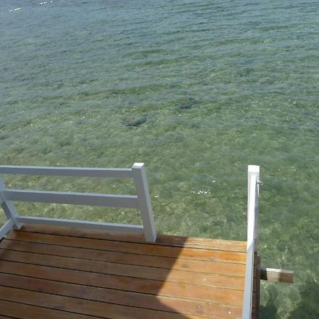 Bluefins Resort Lapu-Lapu City Luaran gambar
